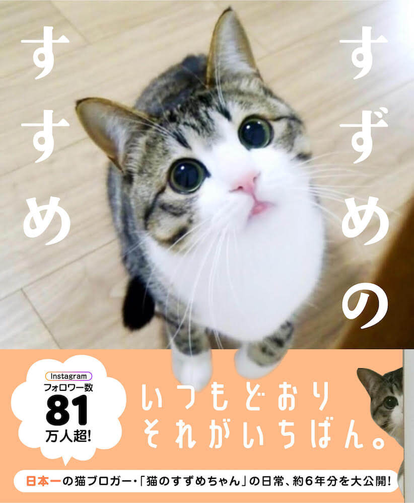 Instagramで人気の猫、すずめちゃんのフォトブック『すずめのすすめ』