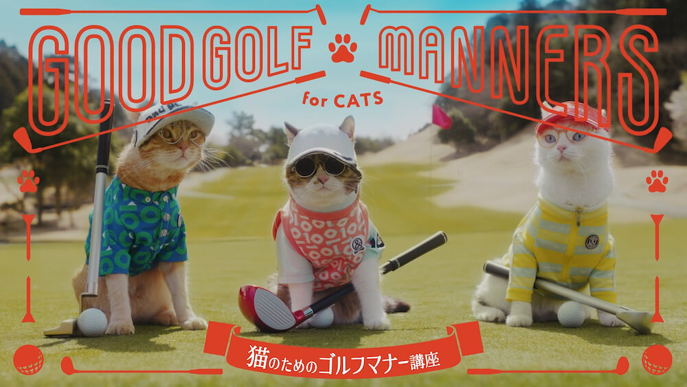 動画「猫のためのゴルフマナー講座」メインビジュアル by and per se（アンパスィ）