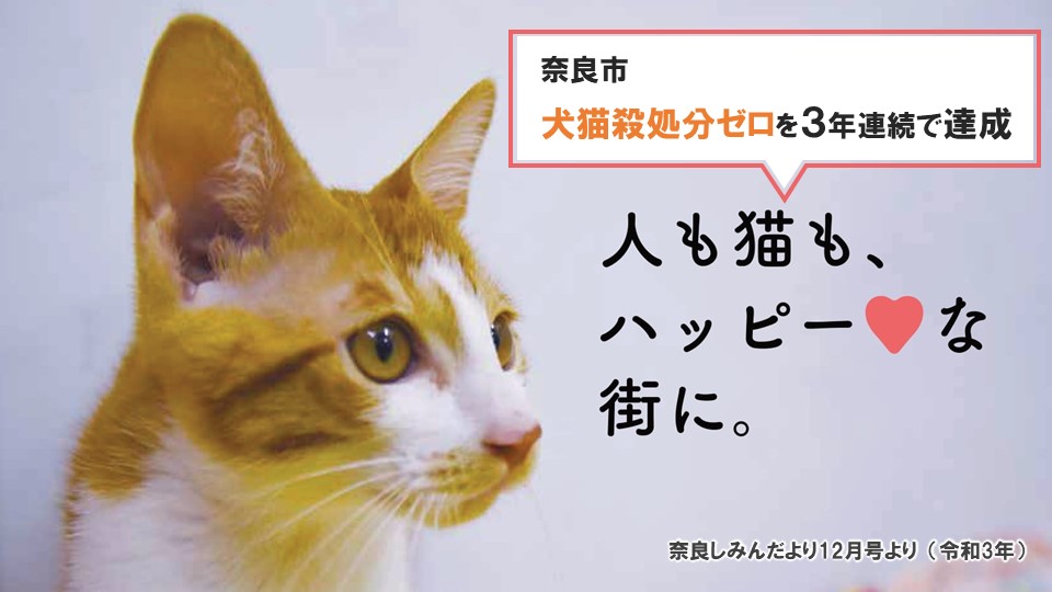 奈良市が犬猫の殺処分ゼロを3年連続で達成