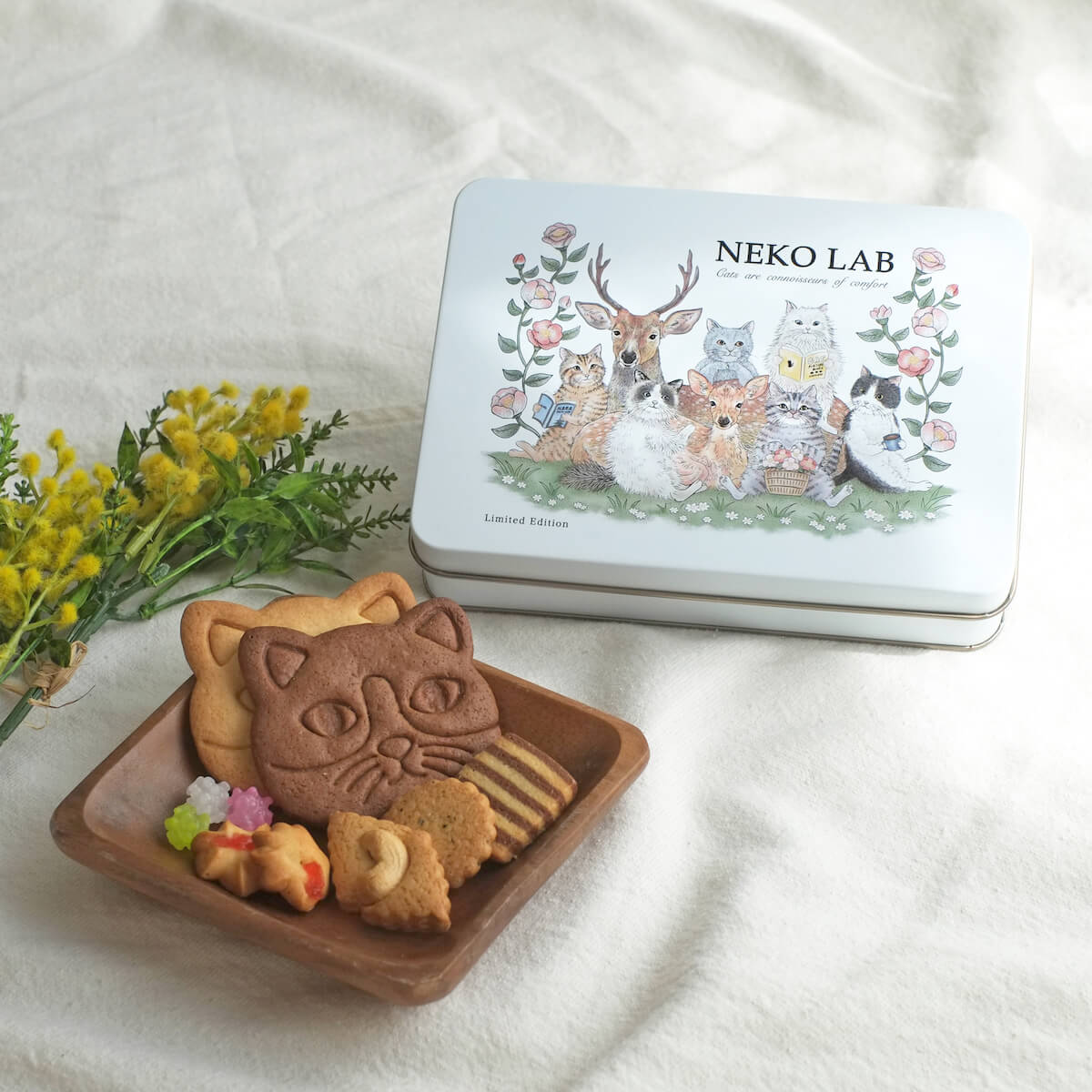猫デザインのクッキー缶「deer&cats」 by 奈良 蔦屋書店とNEKO LABのコラボ
