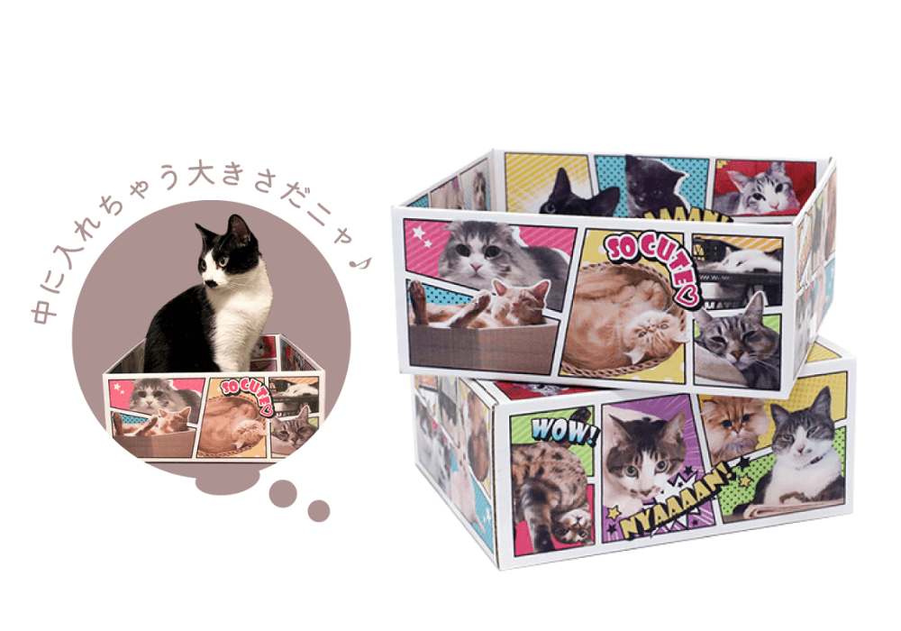 アメコミ風のデザインを施した猫専用ダンボール箱 【猫だらけ】