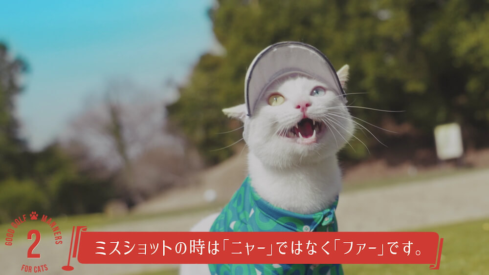 ゴルフのミスショットでニャーと叫ぶ猫のイメージ by and per se（アンパスィ）
