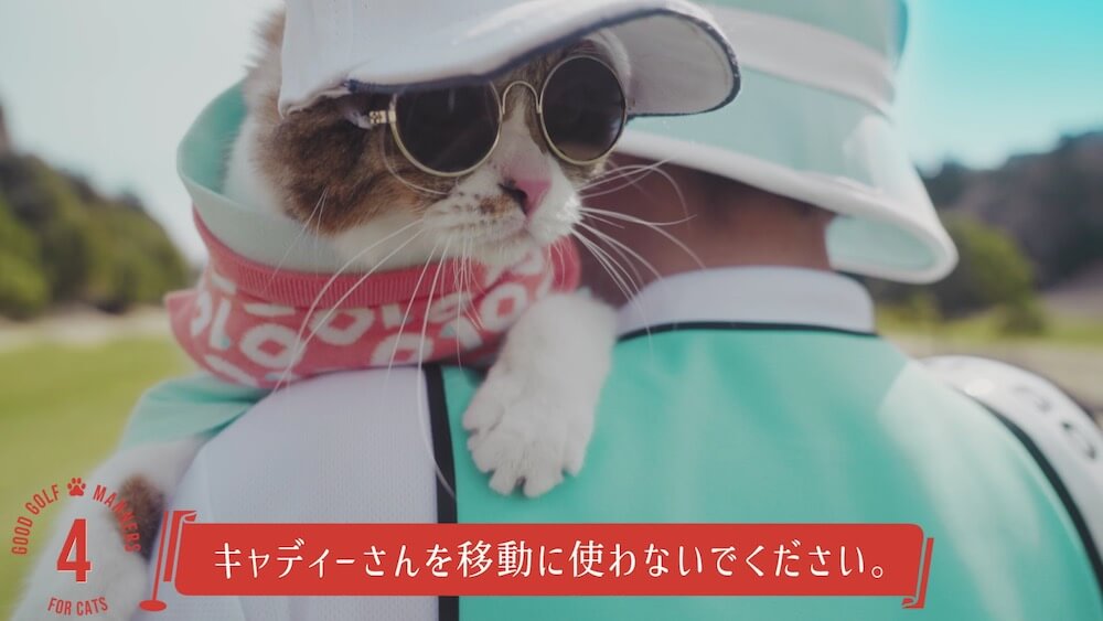 ゴルフ場でキャディーさんに運ばれる猫のイメージ by and per se（アンパスィ）
