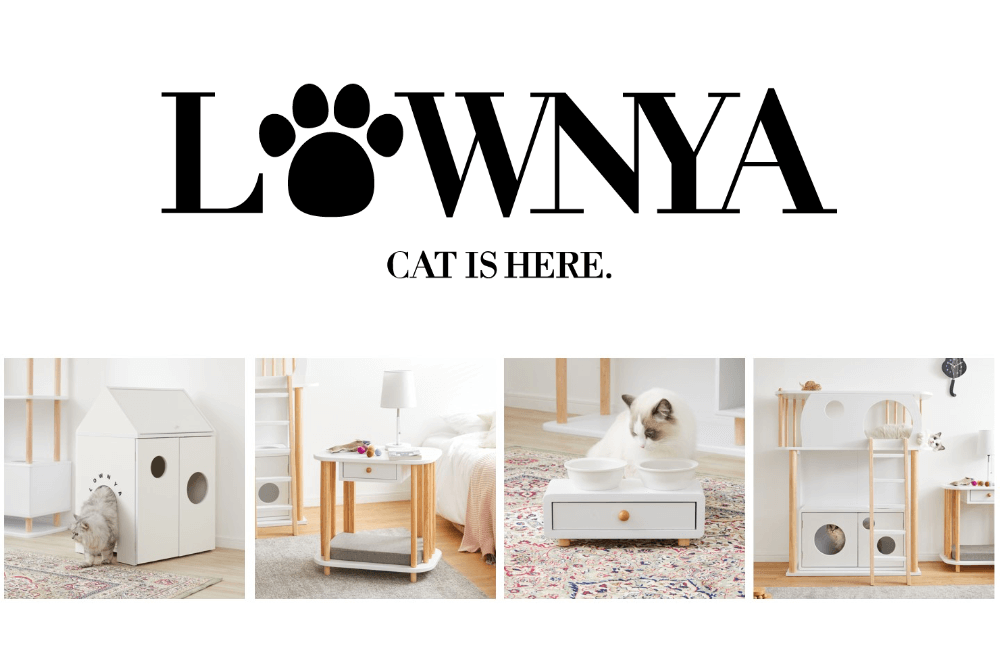 猫家具を開発するブランド「LOWNYA（ロウニャ）」