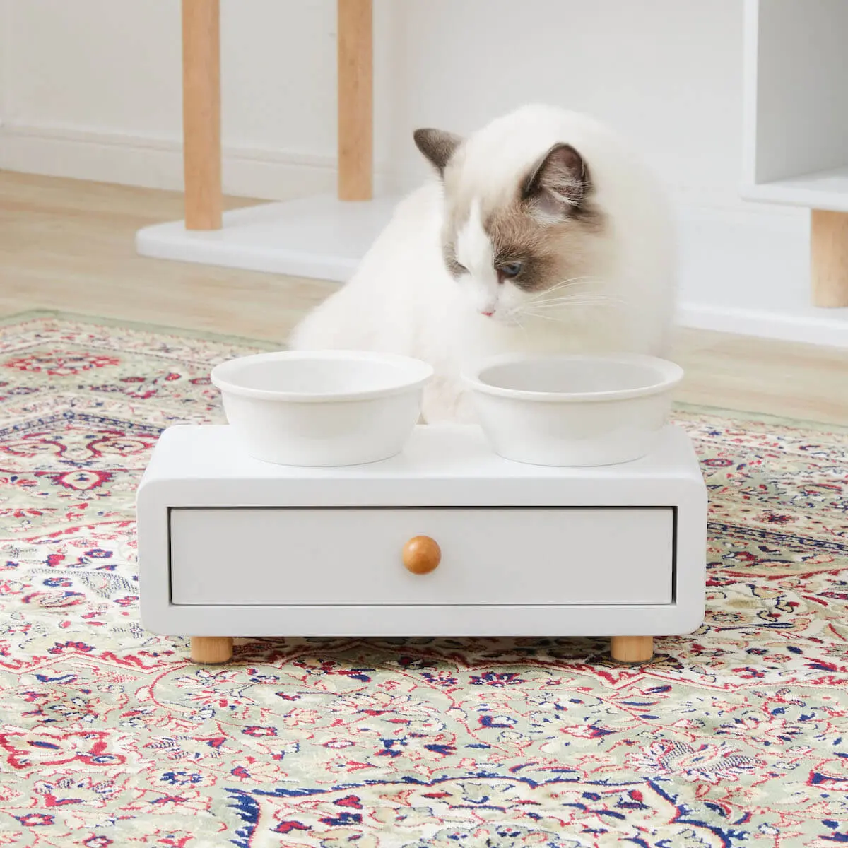 猫家具専用ブランドLOWNYA（ロウニャ）が誕生、ネコも人も楽しめる5