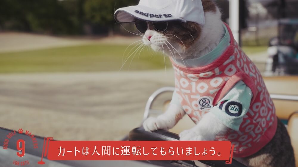 ゴルフコースでカートを運転する猫のイメージ by and per se（アンパスィ）