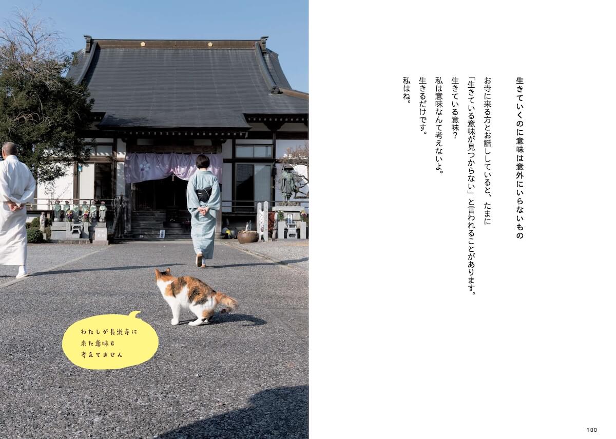 那須の長楽寺の境内と、猫の写真、住職のメッセージ
