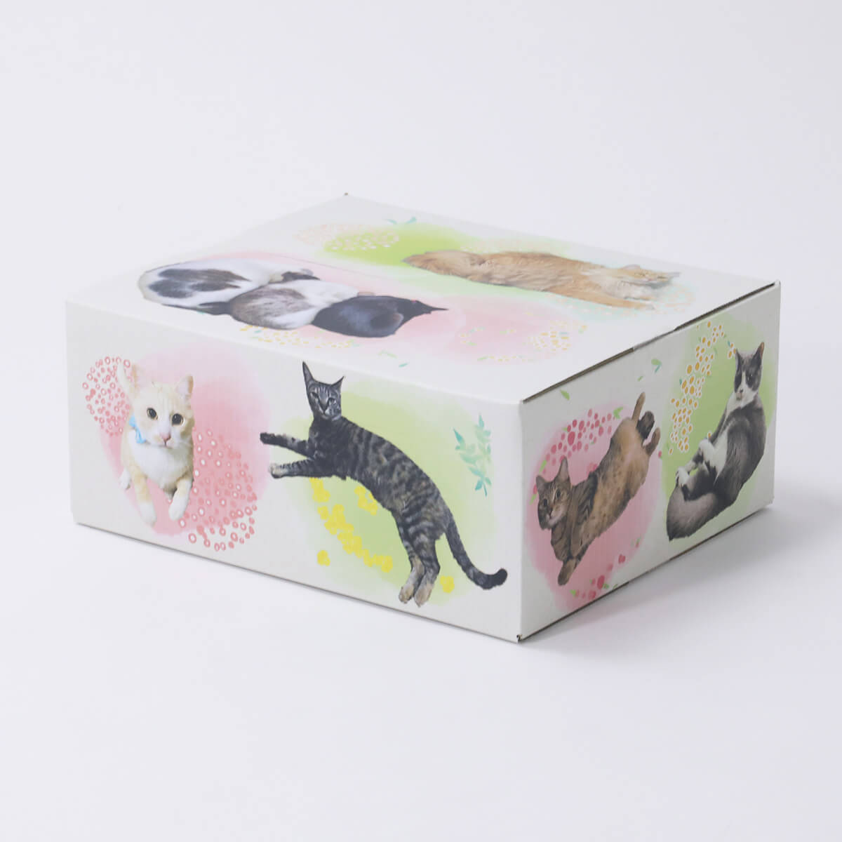 猫の写真とお花がプリントされたダンボール箱『猫だらけVer.2』梱包イメージ