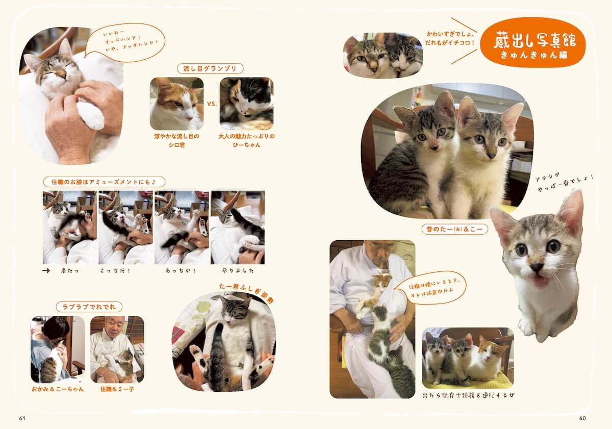 那須の長楽寺で暮らす猫たちを写真で紹介する「蔵出し写真館」のページ
