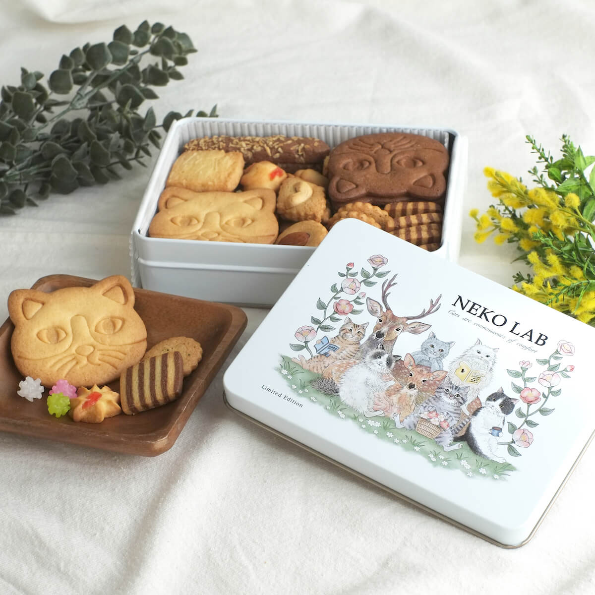 奈良 蔦屋書店とNEKO LABがコラボして誕生した猫デザインのクッキー缶「deer&cats」