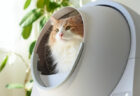 猫のトイレもサブスクの時代！？自動猫トイレを定額料金で使用できる「ネコスク」プランが登場