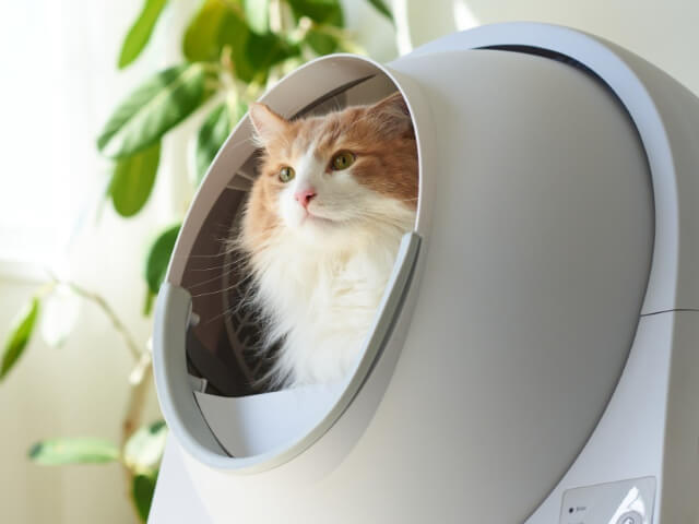 猫のトイレもサブスクの時代！自動猫トイレを定額料金で使用できる「ネコスク」プランが登場 | Cat Press