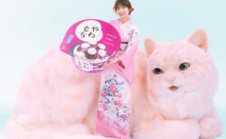 アイスクリームのテレビCMにピンク色の巨大な猫が登場！モデル＆女優の岡崎紗絵さんも出演