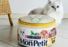 巨大な猫缶モチーフの収納ボックス付き！キャットフードのモンプチから公式ファンブックが登場