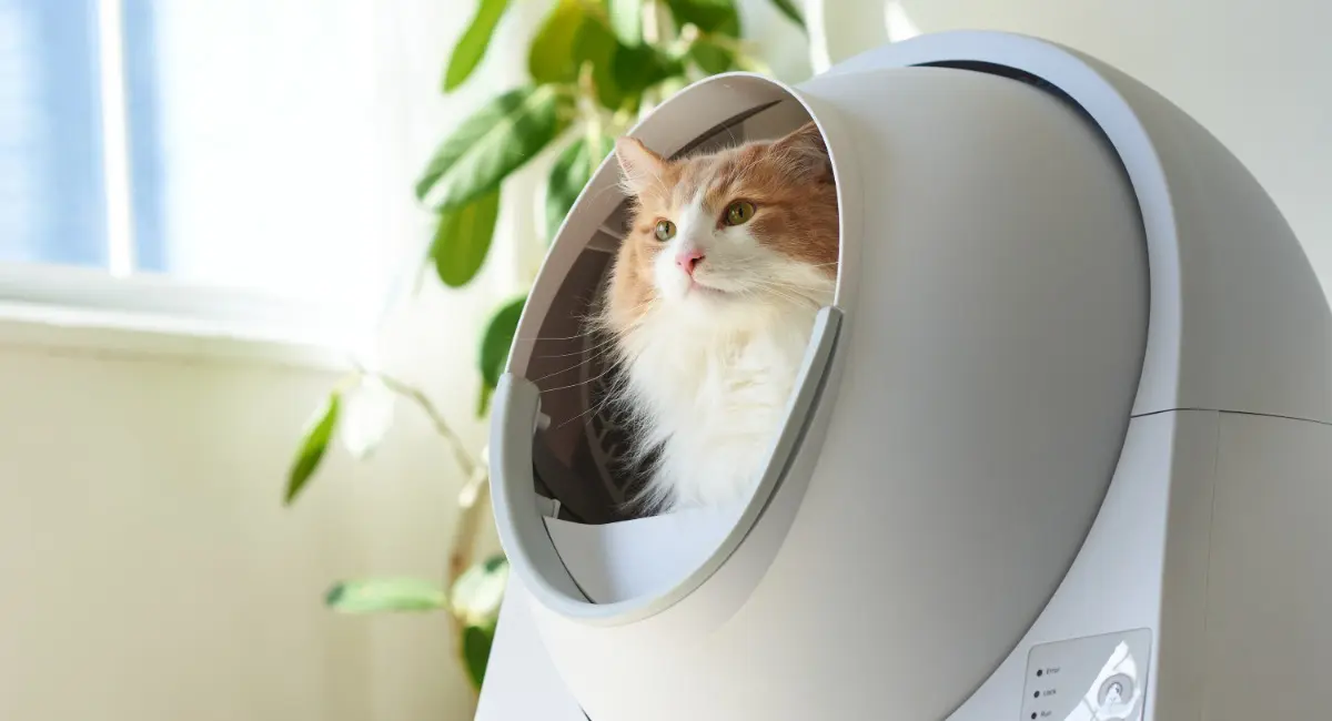 猫のトイレもサブスクの時代！自動猫トイレを定額料金で使用できる
