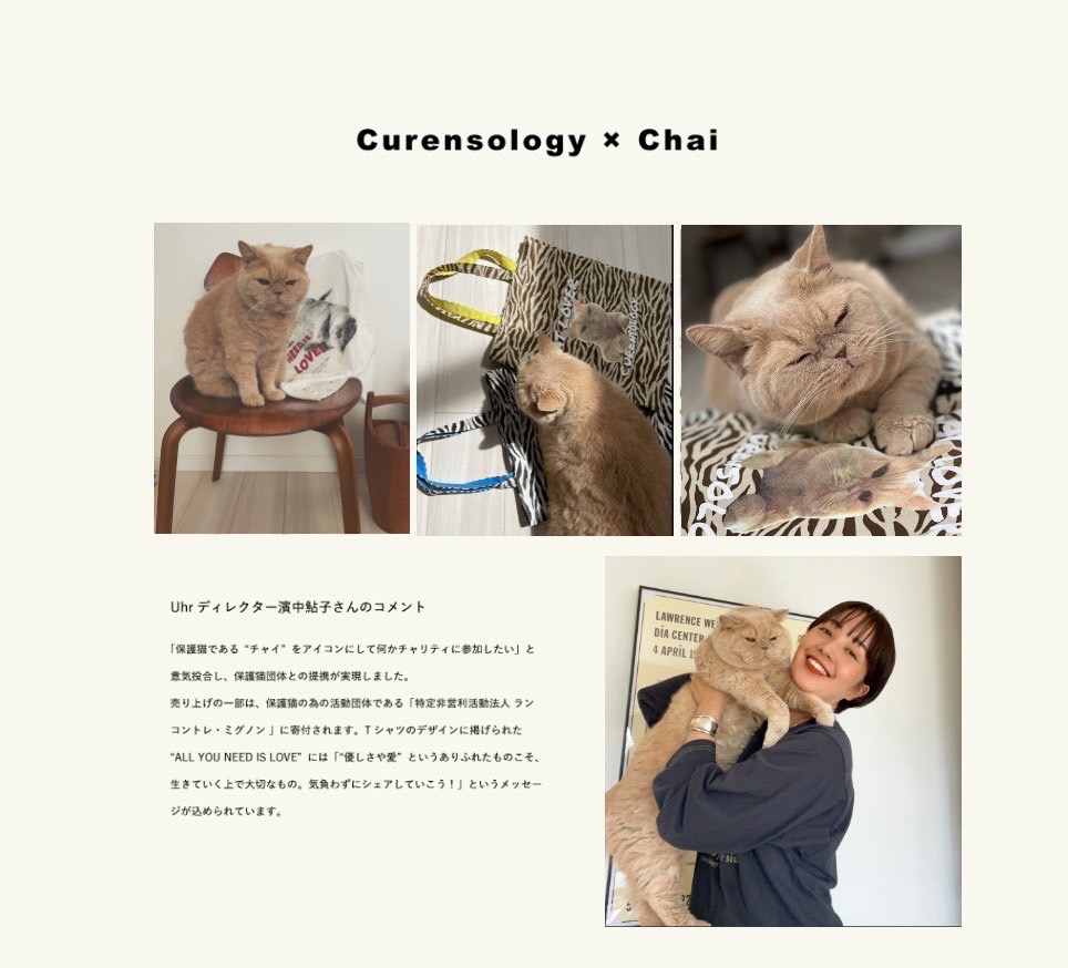 Uhr（ウーア）のディレクター濱中鮎子さんと飼い猫ブリティッシュショートヘアのチャイくん。