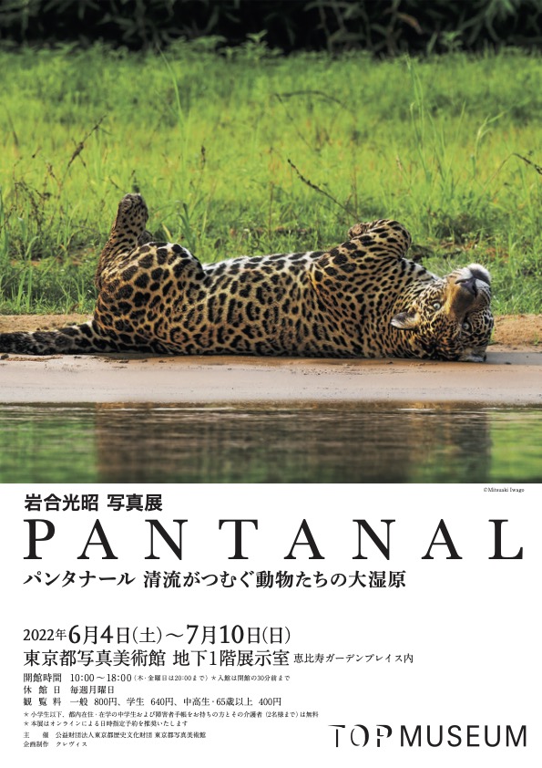 岩合光昭写真展「PANTANAL パンタナール清流がつむぐ動物たちの大湿原」メインビジュアル