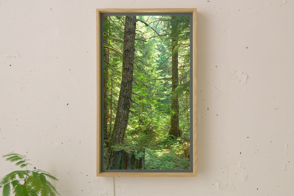 窓型スマートディスプレイ「アトモフウィンドウ（Atmoph Window2）」を壁に飾ったイメージ