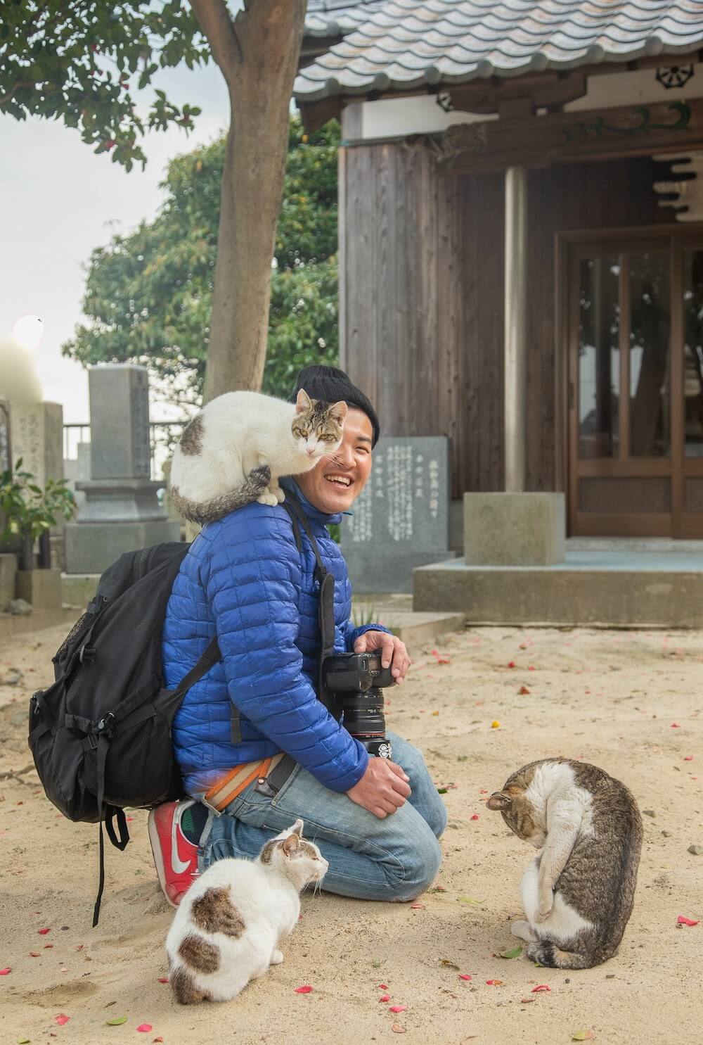 猫に囲まれる写真家・山本正義さんのプロフィール写真