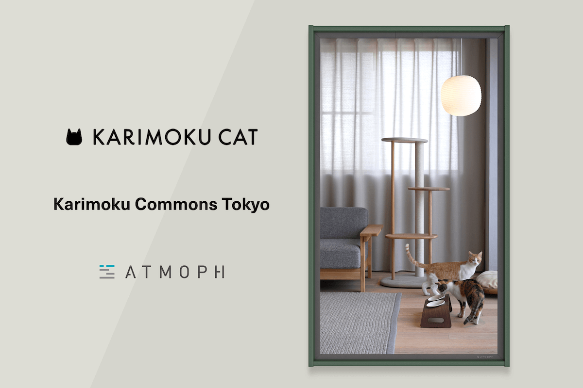 スマートディスプレイ「アトモフウィンドウ（Atmoph Window2）」と猫用木製家具ブランド「KARIMOKU CAT」のコラボ風景