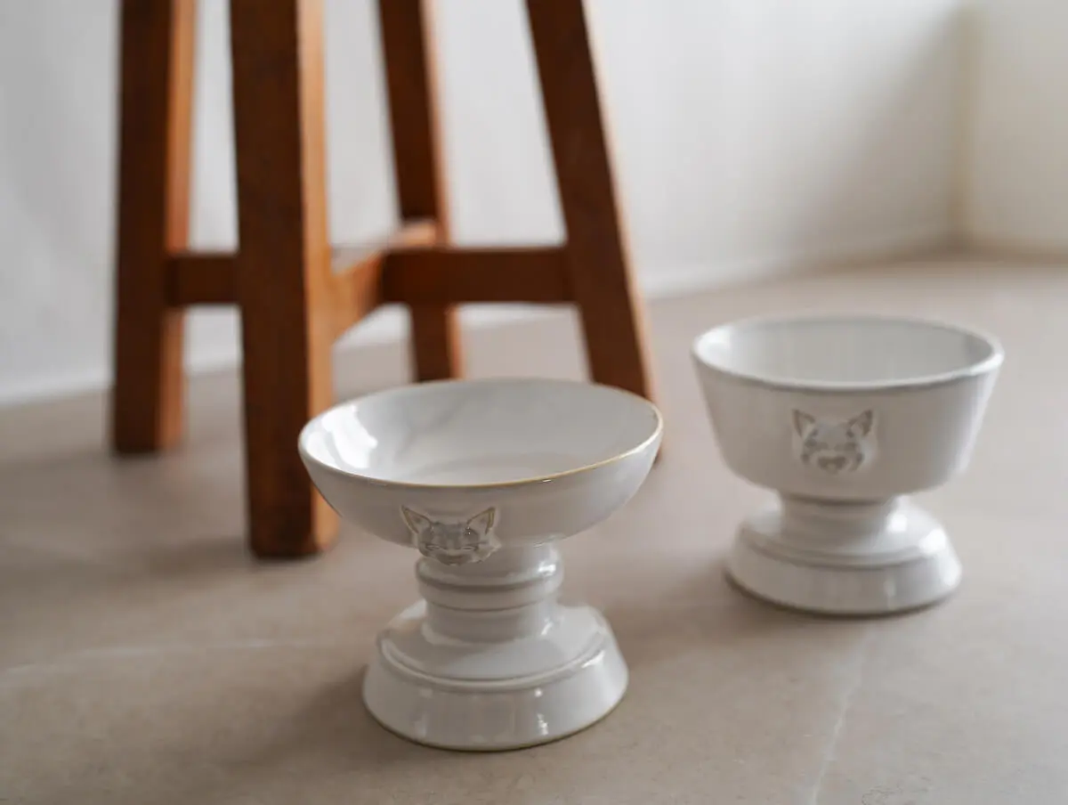 新品！cat design フードボウル&ウォーターボウルセット food bowl & water bowl set（HAKU&GOLD） – cat design®