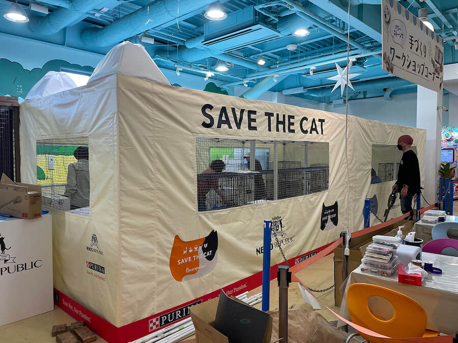 保護猫譲渡会が行われているネコ型テント in オアシスパーク