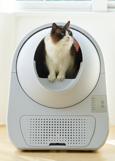 初心者でも使いやすい自動猫トイレのエントリーモデル「CATLINK SCOOPER YOUNG（キャットリンク スクーパー ヤング）」