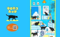 猫のコンテンツが満載！ヤマト運輸がスキマ時間に楽しめるエンタメサイト「クロネコみっけ」を公開