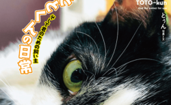 飼い主は超ハイテンション！TikTokで人気の黒白猫「ととくん」の日常を紹介した写真集が登場