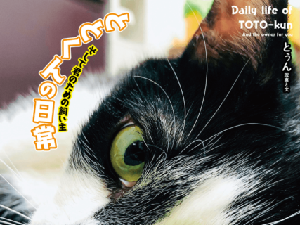 飼い主は超ハイテンション！TikTokで人気の黒白猫「ととくん」の日常を紹介した写真集が登場