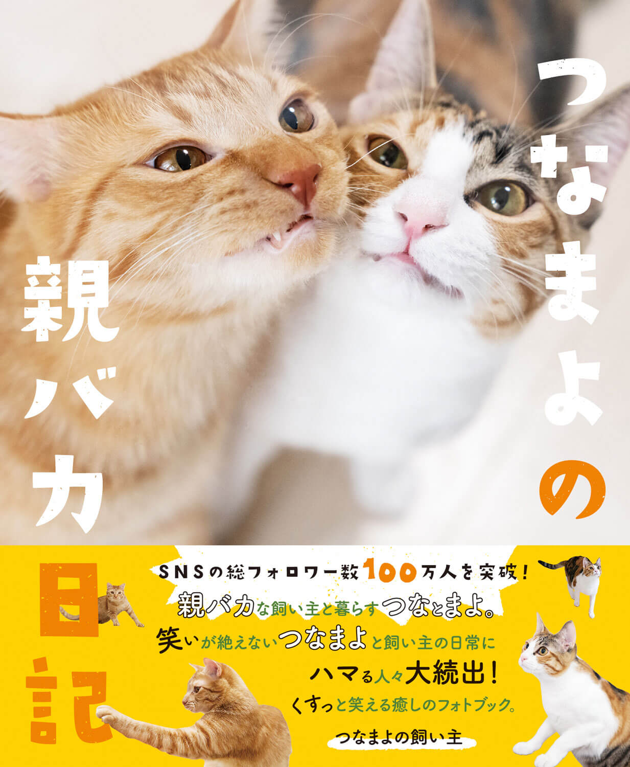 人気猫つなまよのフォトブック『つなまよの親バカ日記』表紙イメージ