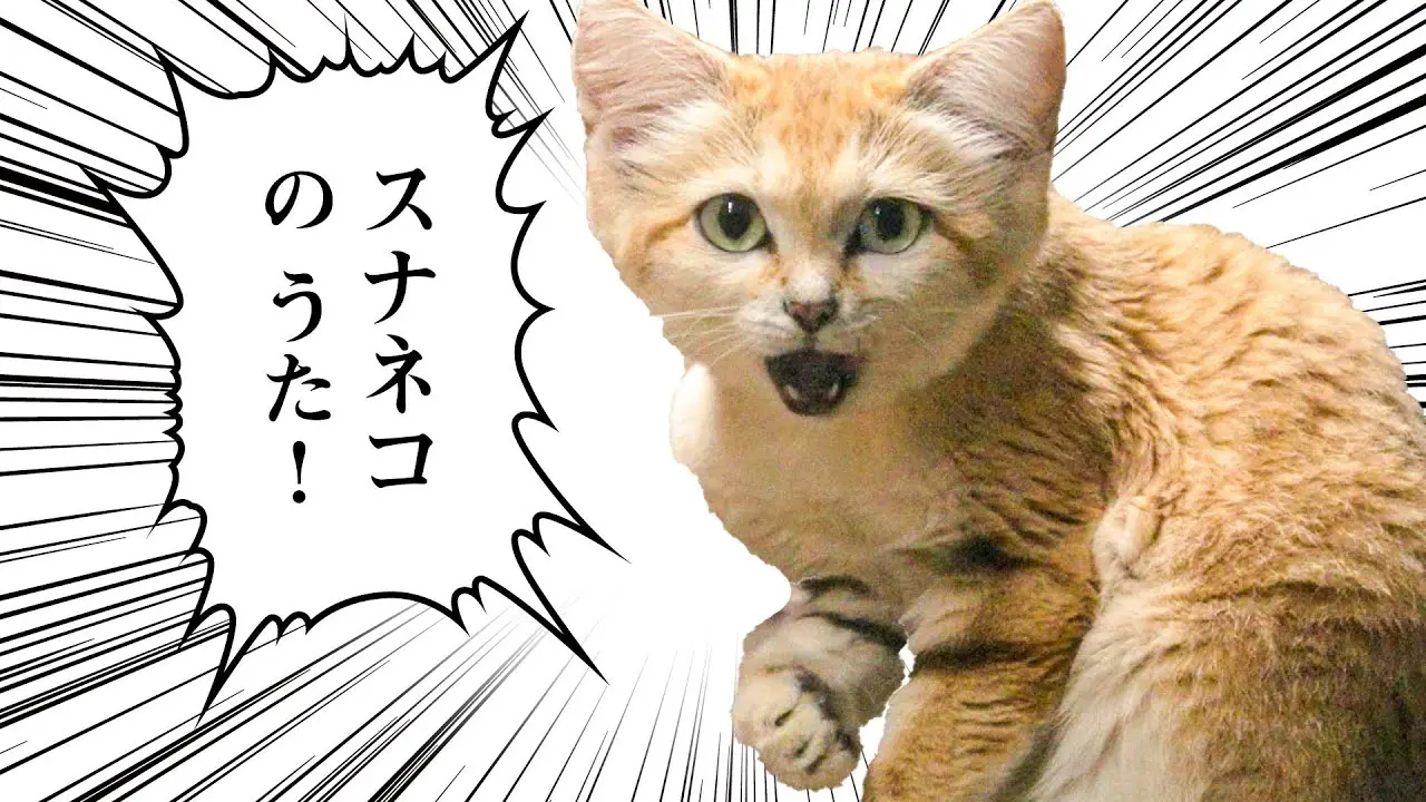 砂漠の天使は可愛いだけじゃニャい！那須どうぶつ王国がミュージック