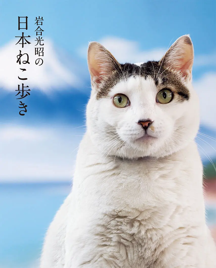 放送開始から10周年！世界ネコ歩きの新作写真集「岩合光昭の日本