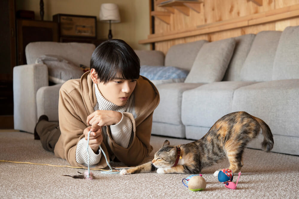 猫のチャーに話しかける二星優斗役の古川雄輝 by 劇場版 ねこ物件