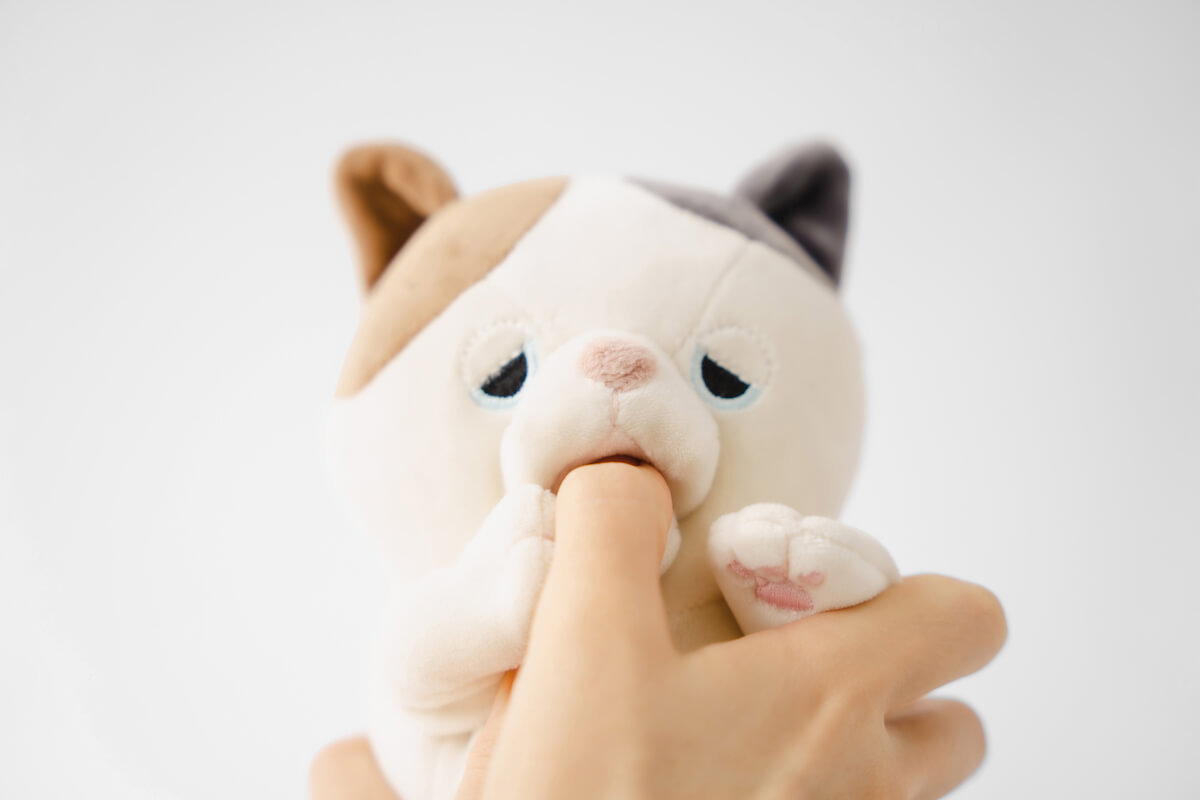 指をハムハムと甘噛みする猫ロボット「甘噛みハムハム」正面イメージ