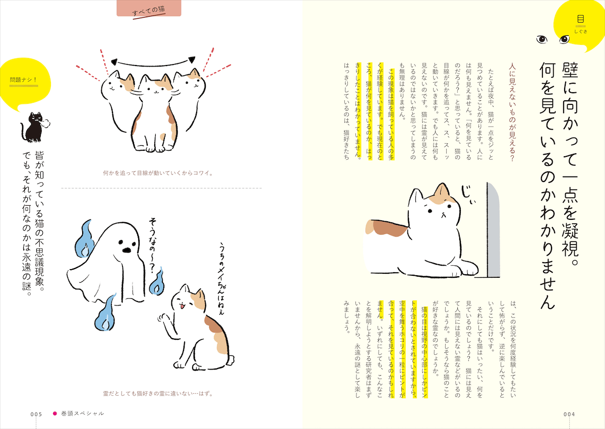 一点を見つめる猫の仕草について解説したページ
