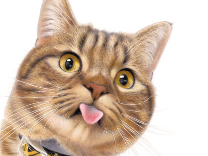 超リアルな猫を塗って楽しめる！SNSでバズった色鉛筆画家・音海はるの『ねこぬりえ』BOOKが登場