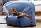 猫の体にもやさしくフィット！家具の総合商社が開発したペット用のビーズクッション「Bubba mini（ブッバ ミニ ）」