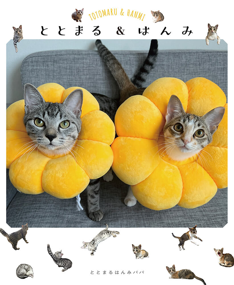 SNSで人気の兄妹猫の写真集「ととまる&はんみ」表紙イメージ