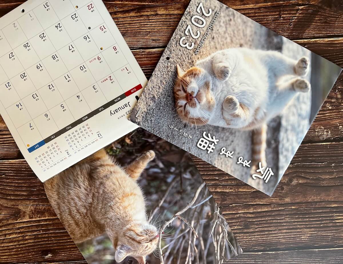 猫写真家あおいとりの2023年カレンダー「気まま猫」