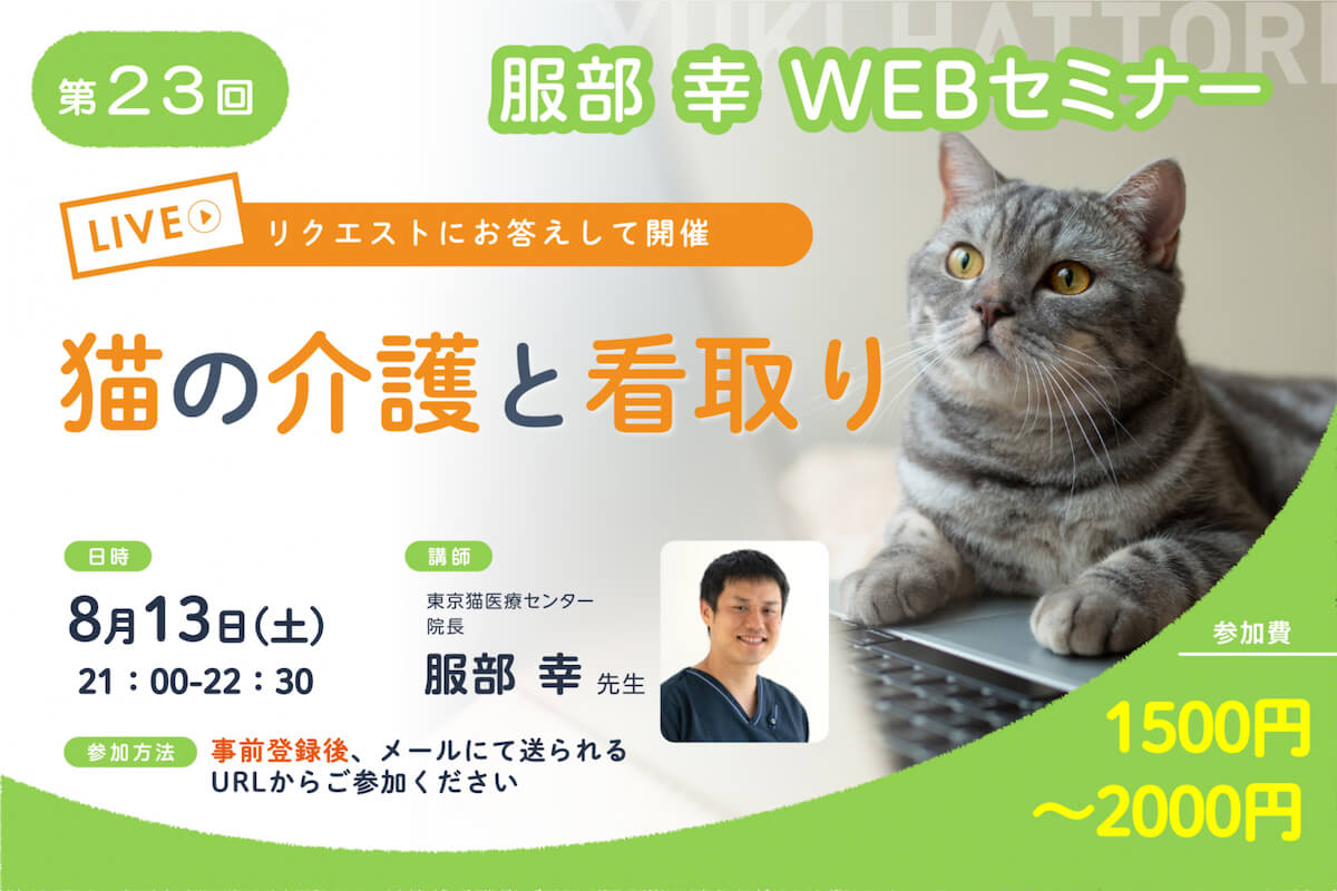 服部幸獣医師のWEBセミナー『猫の介護と看取り』メインビジュアル
