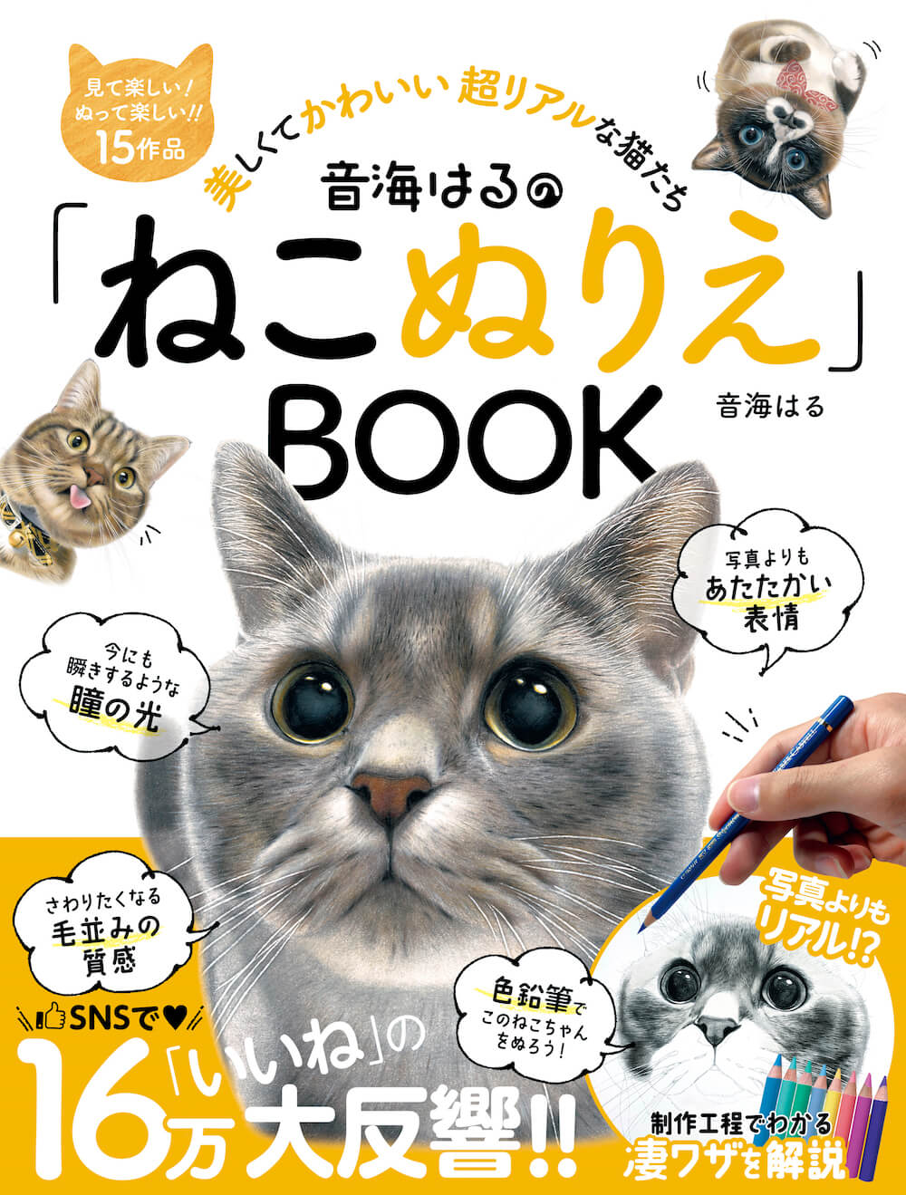 色鉛筆で描く超リアルな猫のぬりえ本『音海はるの「ねこぬりえ」BOOK』表紙イメージ