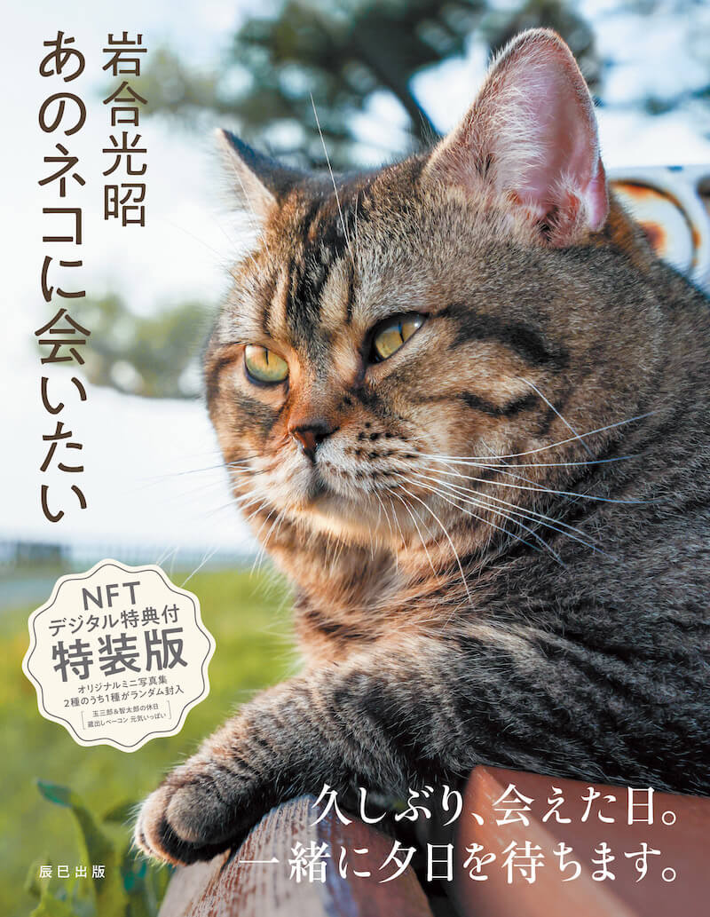 岩合光昭写真集『あのネコに会いたい』NFTデジタル特典付特装版の表紙イメージ