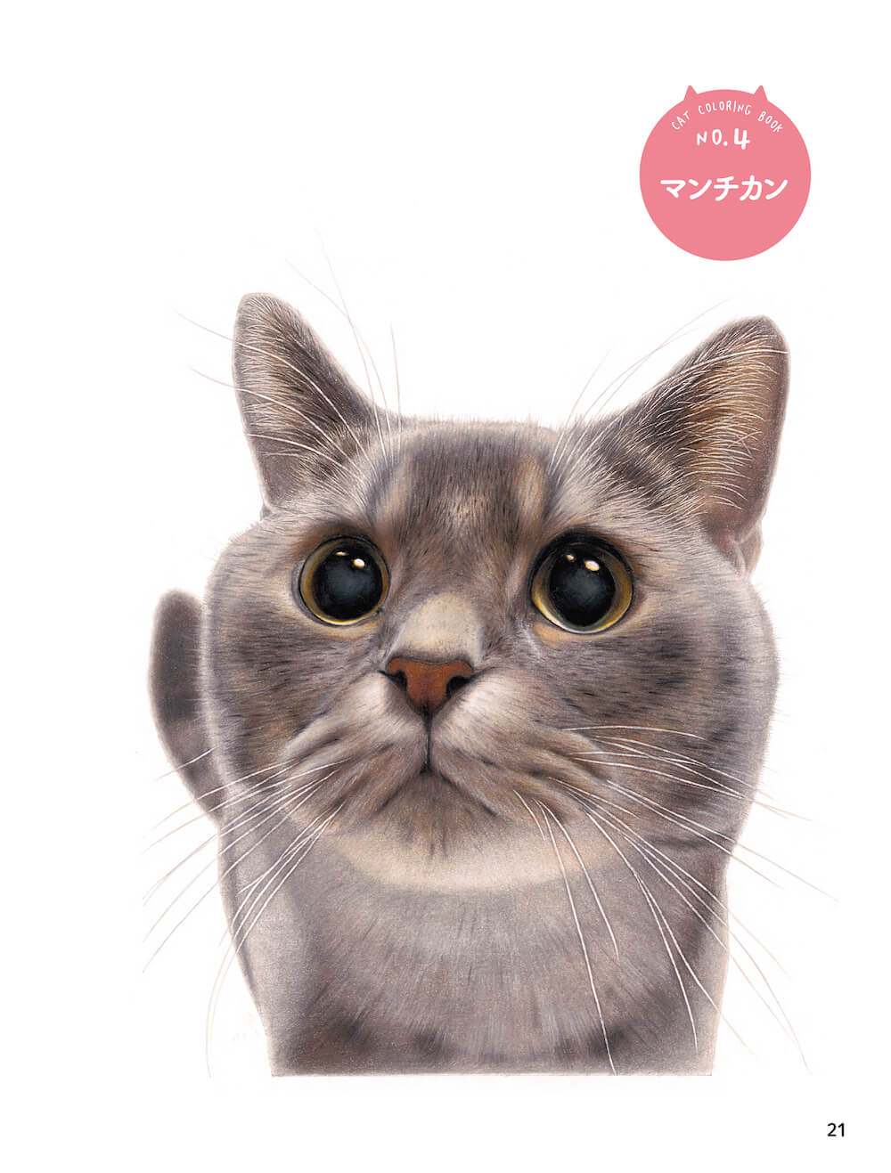 色鉛筆で描いた猫のマンチカン by 『音海はるの「ねこぬりえ」BOOK』