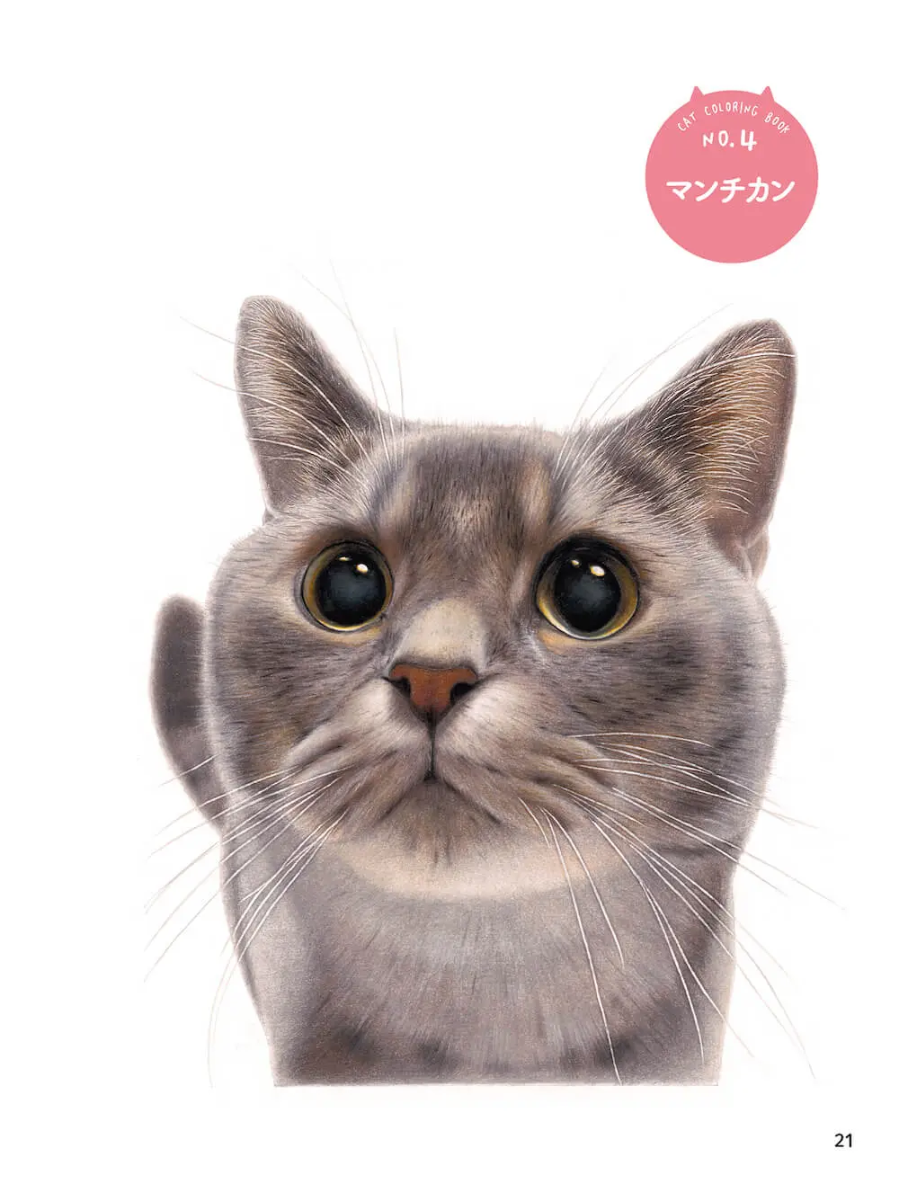 超リアルな猫を塗って楽しめる！SNSでバズった色鉛筆画家・音海