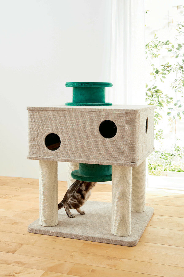 「ひょっこり土管タワー」の土管に吸い込まれてゆく猫