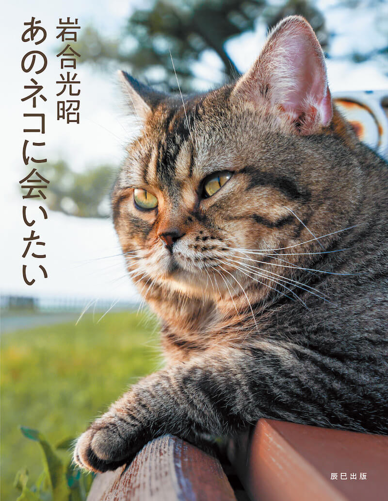 岩合光昭写真集『あのネコに会いたい』表紙イメージ