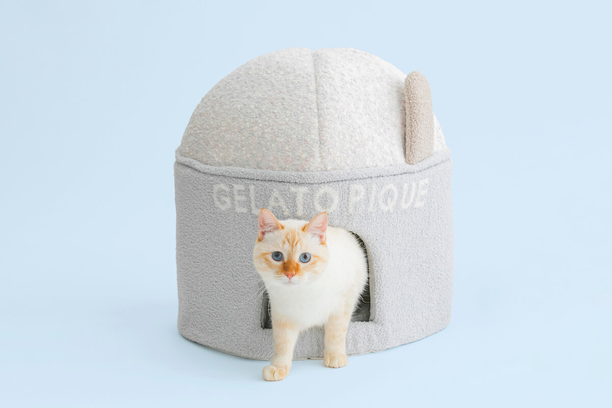 ジェラートピケの猫用ハウス「べビモコカップアイス型ハウス」 by GELATO PIQUE CAT&DOG