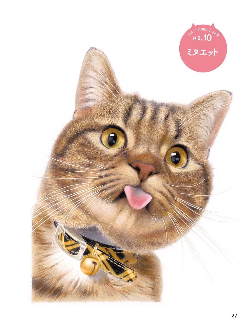 色鉛筆で描いた猫のミヌエット by 『音海はるの「ねこぬりえ」BOOK』