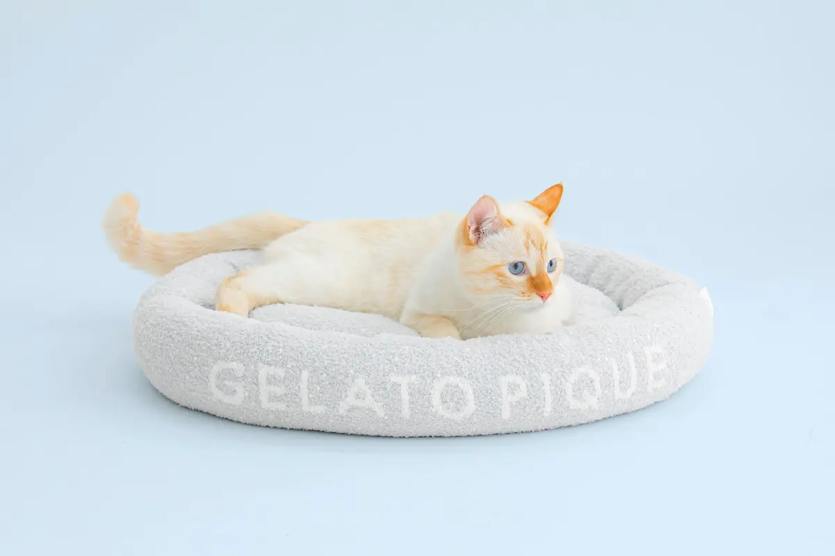 モコモコな触り心地に猫もうっとり♪ ジェラートピケから初のペット